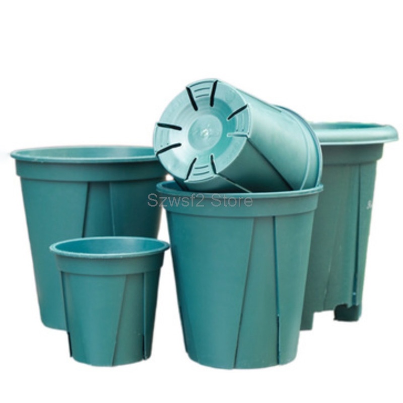 5/10pcs Green Plastic Plant Fl - Gardening Tools Cute 评论和价格