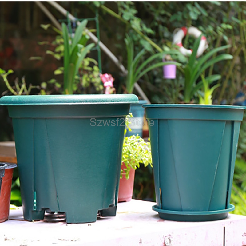 5/10pcs Green Plastic Plant Fl - Gardening Tools Cute 评论和价格